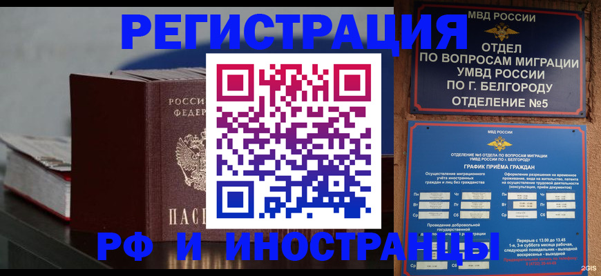 прописка 2025 в Шали